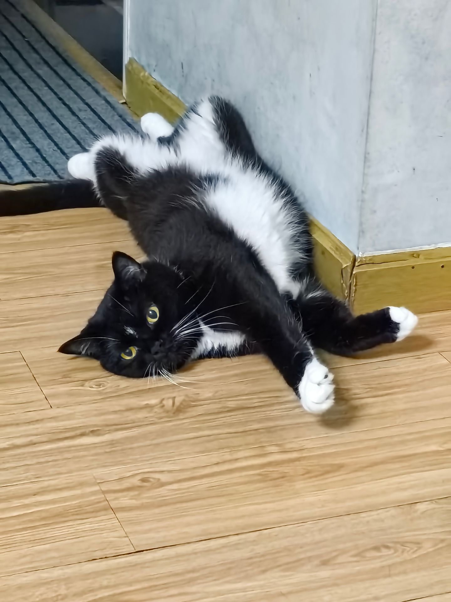 “二胎”家庭的幸福