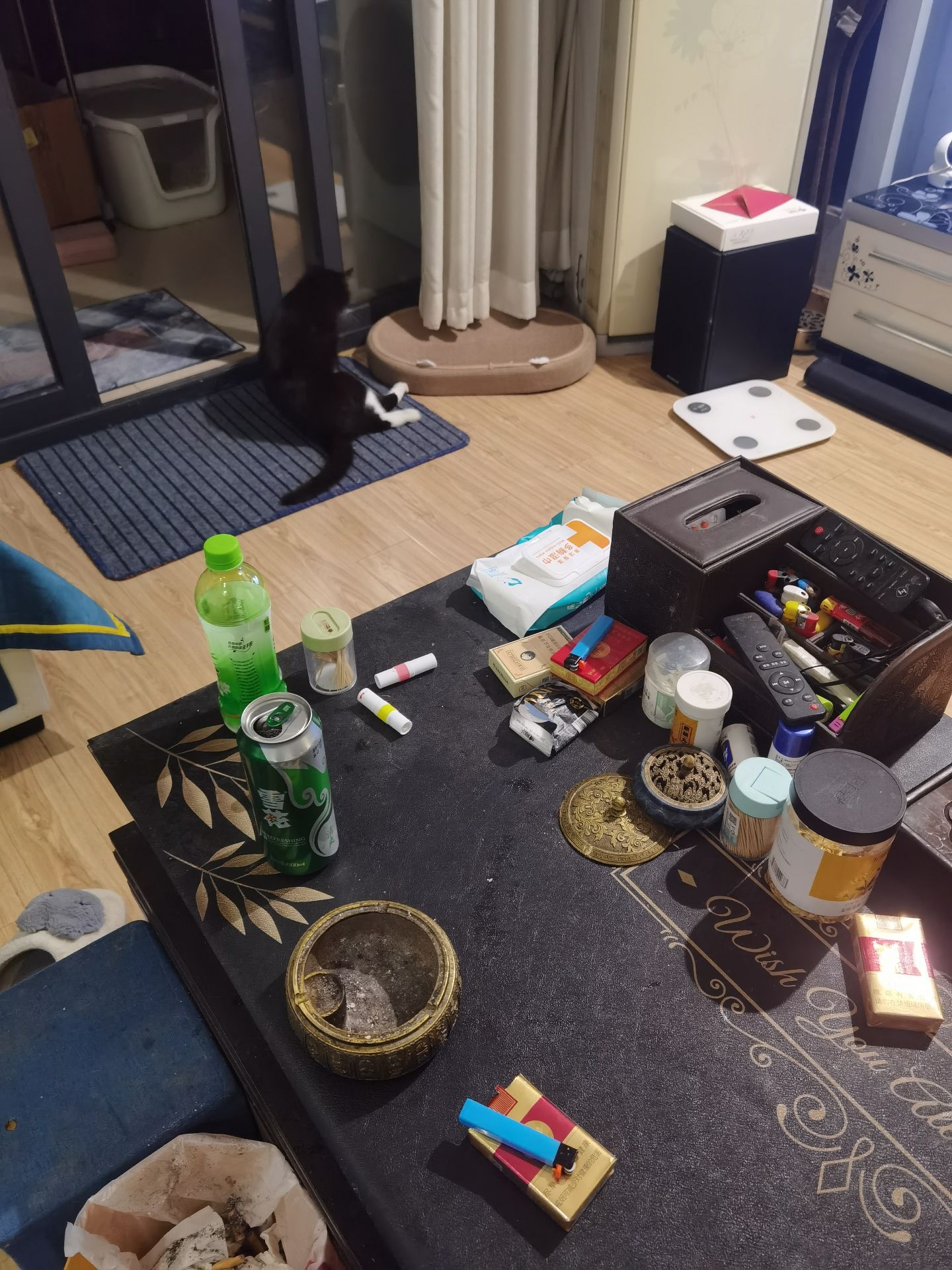 一个月后看我家一窝小布偶